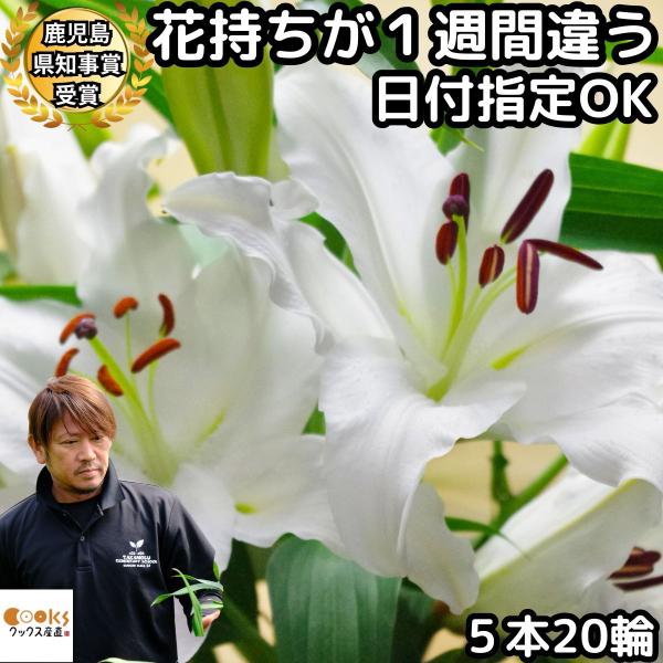 ★リピーター多し！鹿児島県知事賞受賞ユリをプレゼントしましょう★産地直送だから花屋さんより花持ちが１週間は違いますよ！★高貴な香りで20輪以上の大輪の花が最後の1輪まできれいに咲きます！★ラッピング別途550円（税込）★詳細情報【内容量】花...