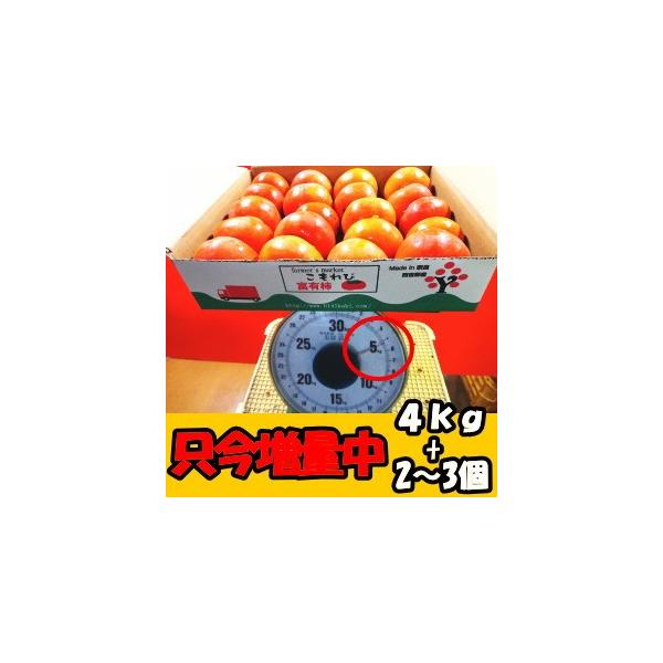柿 訳あり 種なし柿 奈良 西吉野 柳澤果樹園 4kg+増量約1kg 計約5kg 15〜25玉 家庭用 送料無料 刀根柿 平種柿 とね柿 ひらたね柿 平 核無柿 /【Buyee】 柿 訳あり 種なし柿 奈良 西吉野 柳澤果樹園 4kg+増量約1kg 計約5kg 15〜25玉 家庭用 送料無料 刀根柿 平種柿 とね柿 ひらたね柿 平 核無柿 /【Buyee】