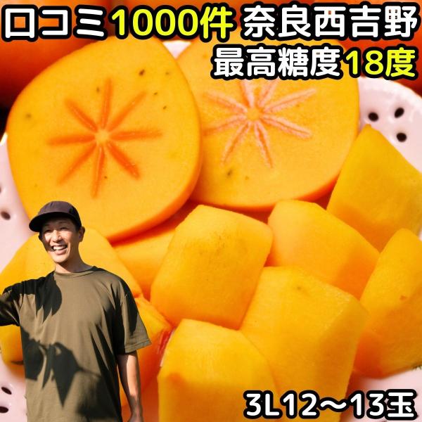 柿 種なし柿 3L 12〜13玉 約4kg 贈答用 奈良 西吉野 柳澤果樹園 口コミ