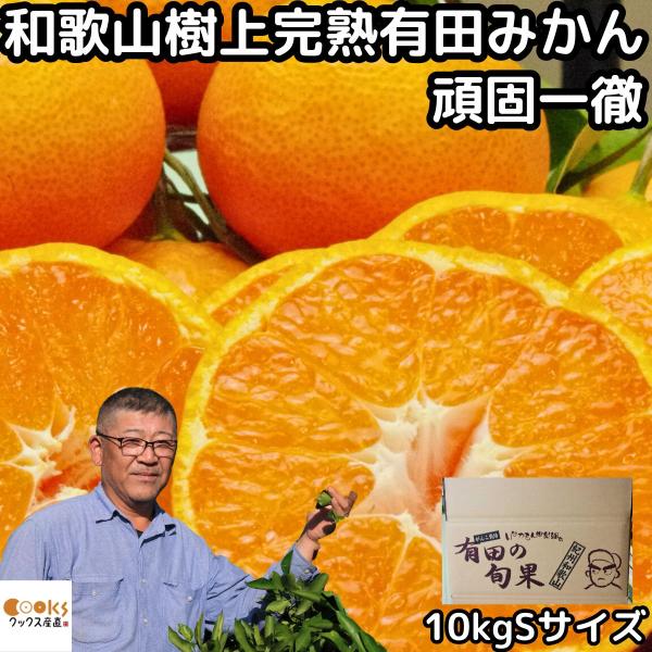 みかん 有田 小玉 甘い 糖度 和歌山 生勇農園 樹上完熟 早生 みかん 有田 小玉 甘い 糖度 和歌山 生勇農園 樹上完熟 早生