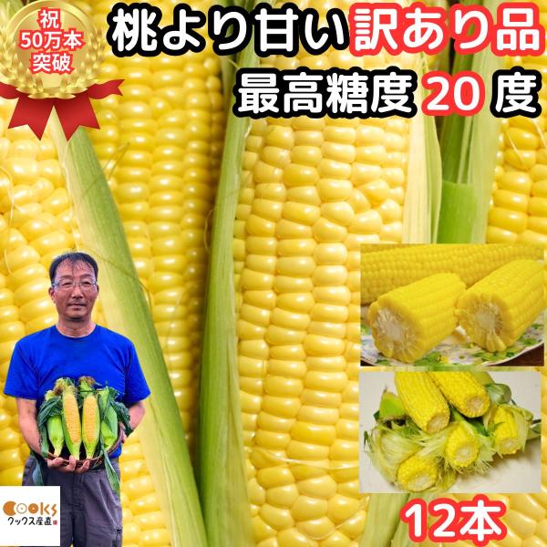 わたあめとうもろこし　8本『少しこぶり』 わたあめとうもろこし 8本『少しこぶり』 わたあめとうもろこし