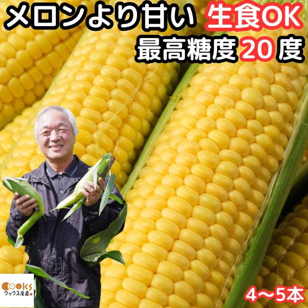 とうもろこし 北海道 士別 2L〜L 4〜5本入 メロンより甘い 生食
