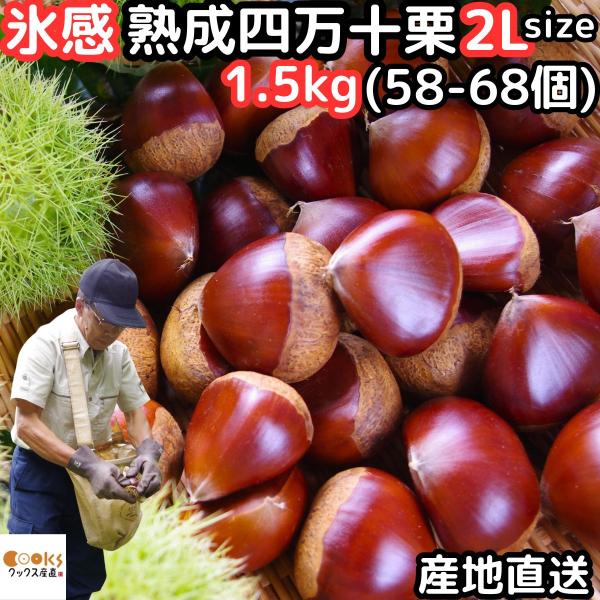 ★南国土佐四万十の豊かな自然に育まれた絶品「四万十栗」★甘さ際立つおいしさが魅力の四万十栗です！★スーパーでは買えない特々大4Lサイズ限定！★最新技術　氷感熟成でおいしさが更にUPしました！★ほっこり甘くてホックホク★詳細情報【内容量】 予...