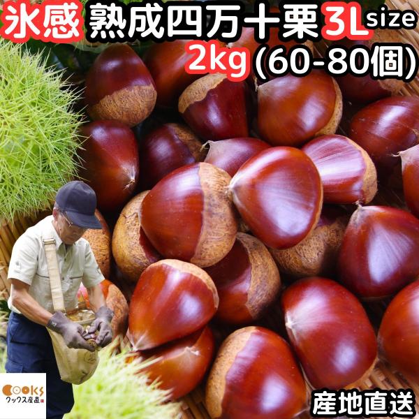 ★南国土佐四万十の豊かな自然に育まれた絶品「四万十栗」★甘さ際立つおいしさが魅力の四万十栗です！★スーパーでは買えない特大３Lサイズ限定！★最新技術　氷感熟成でおいしさが更にUPしました！★ほっこり甘くてホックホク★詳細情報【内容量】栗 生...