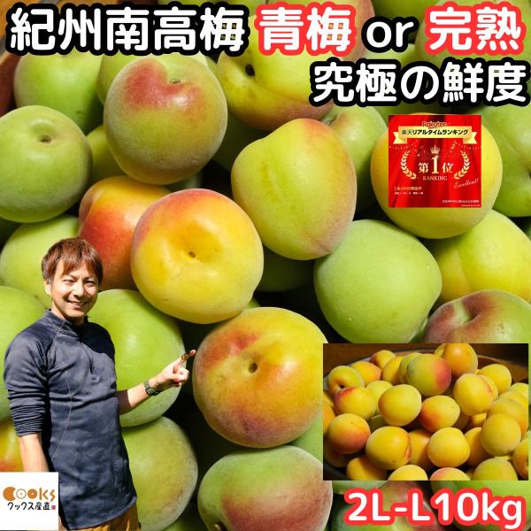 ★生産者さん指定！梅生産量日本一和歌山田辺直送★南高梅を1粒、1粒丁寧に手摘みした高品質な商品です★南高梅は、果肉厚く柔らかで梅干しに最適です。★南高梅は、種が小さく果肉が多いのが人気です。★初めての方でも上手に一番漬けやすい２Ｌ〜３Lサイ...