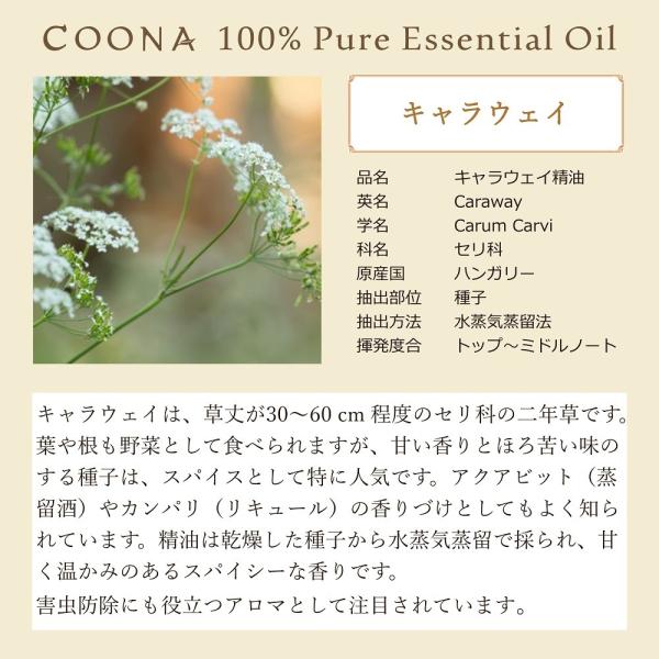 キャラウェイ 10 Ml エッセンシャルオイル アロマオイル 精油 送料無料 Buyee Buyee Japanese Proxy Service Buy From Japan Bot Online