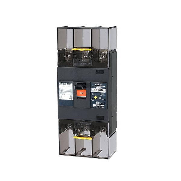 テンパール工業 漏電遮断器 223EA20W2 経済タイプ GB-223EA 200A 100