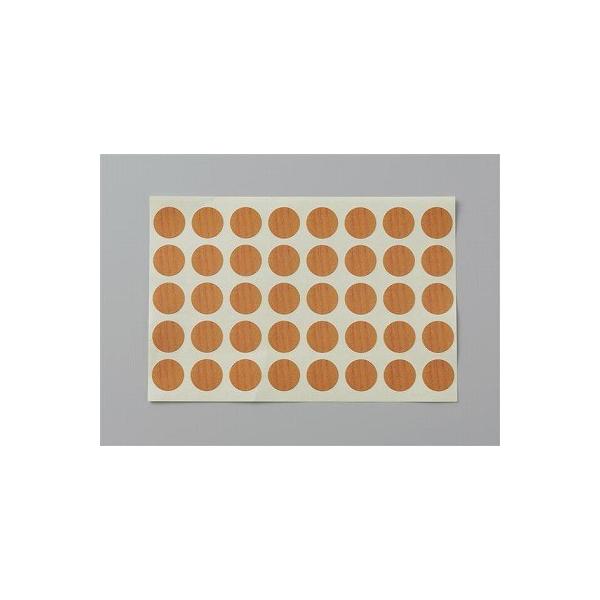 t[X^C肷 TOTO@EWT26CP2@V[ 󒍐Yi[§]