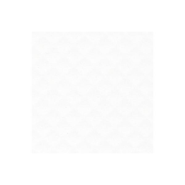 �A�C�J�H�� �yFKJ 6000ZYN96�^2�����z �Z���[�� CERARL �����~���s�R���ϔ� �ǃp�l�� 3×6 ����3mm [�􁢁y�{�B�̂ݔz���z]