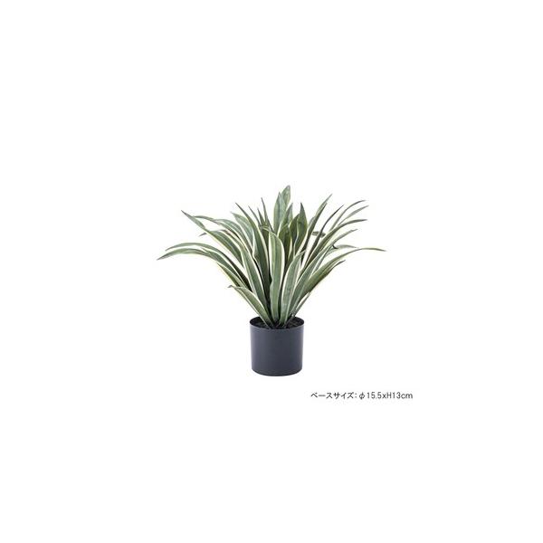 J@GRN-13@tFCNO[ AKx W63×D63×H50 []