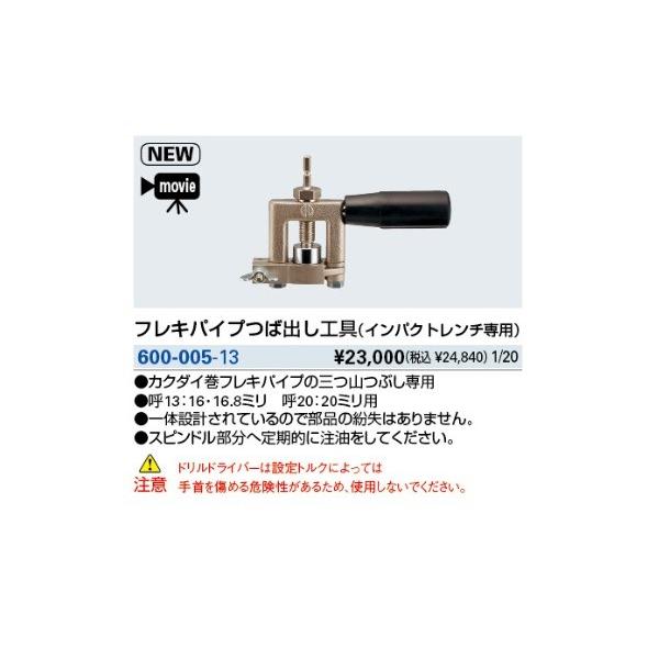  JN_C@600-005-13@tLpCvΏoH(CpNg`p) []