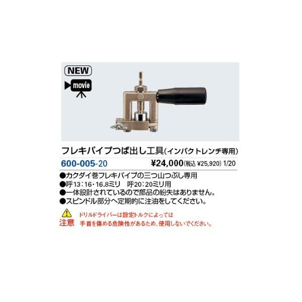  JN_C@600-005-20@tLpCvΏoH(CpNg`p) []