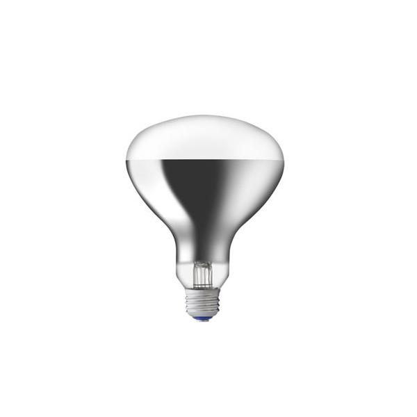 IWASAKI アイランプ RF220V 180W電球 10個入 岩崎電気 RF220V180WH 屋外投光用アイランプ 散光形 200W形 白熱ランプ