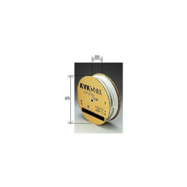 𕔍 KVK@ZKF170SSI-100@V[z[X100m