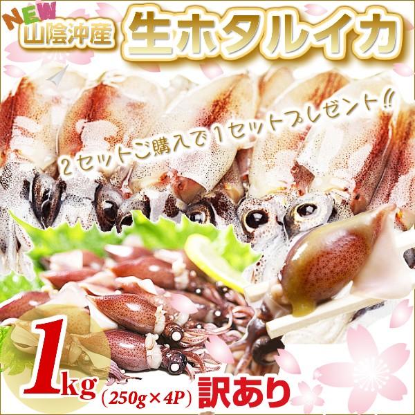 ホタルイカ 訳あり 大きさ不揃い ー６０ 急速冷凍 19新物 約１ｋｇ ２５０g ４パック 生ほたるいか ２セットご購入で１セット増量 送料無料 Buyee Buyee 提供一站式最全面最專業現地yahoo Japan拍賣代bid代拍代購服務 Bot Online