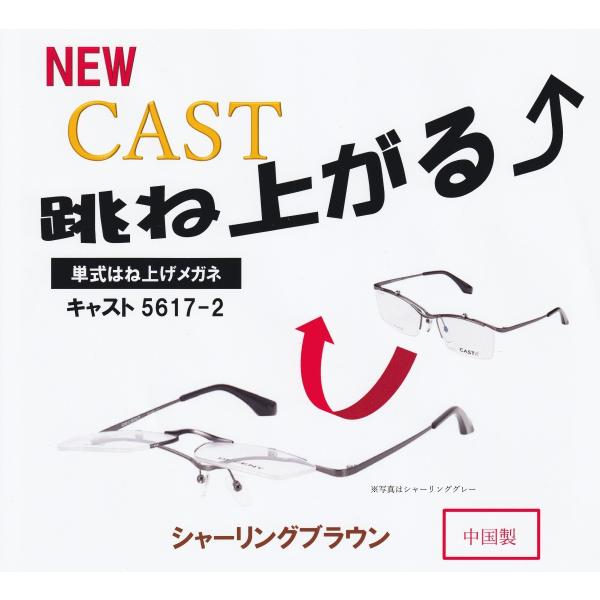 CASTiLXgj͂ˏグKl@Y@xt\@TOXdl\@P@CAST5617-2
