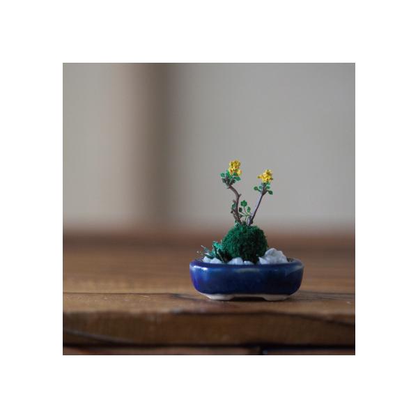 The Bonsai 寄せ植え小判鉢 盆栽 ミニチュア かわいい ドールハウス 小さい 植物 イン Pz 001005 のレンyahoo 店 通販 Yahoo ショッピング