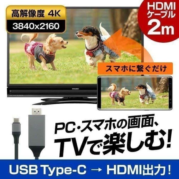 スマホ テレビに映す YOUTUBEをテレビで見る アンドロイド HDMI 変換 ケーブル 2m Android 有線 USB Type-C ポート Mac Windows パソコン ミラーリング 4K