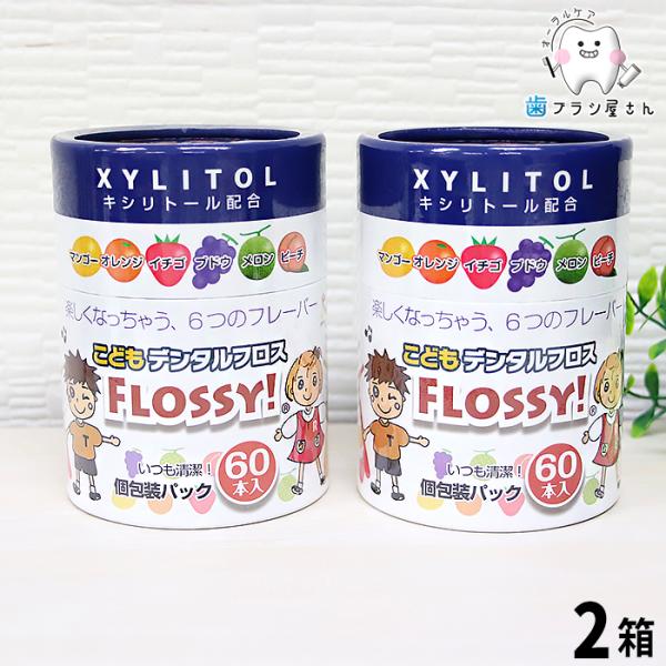 フロス ci こどもデンタルフロス　FLOOSSY! フロッシー 60本入り×2箱 セット フロス 子供 セット まとめ買い 歯間ブラシ デンタルフロス 歯科医院専用 歯科専売