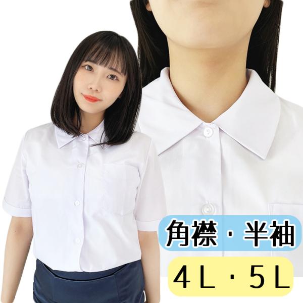 【在庫限り】角襟 半袖 TOPACE ブラウス 4L 5L シャツ スクール レディース ホワイト スクールシャツ ワイシャツ 制服用 トップエース 大きめサイズ wsh-01b