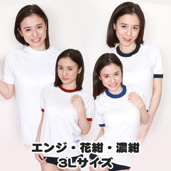 ファッショナー☆Fashioner Mサイズ ピンク ブルマ 体操着 体育