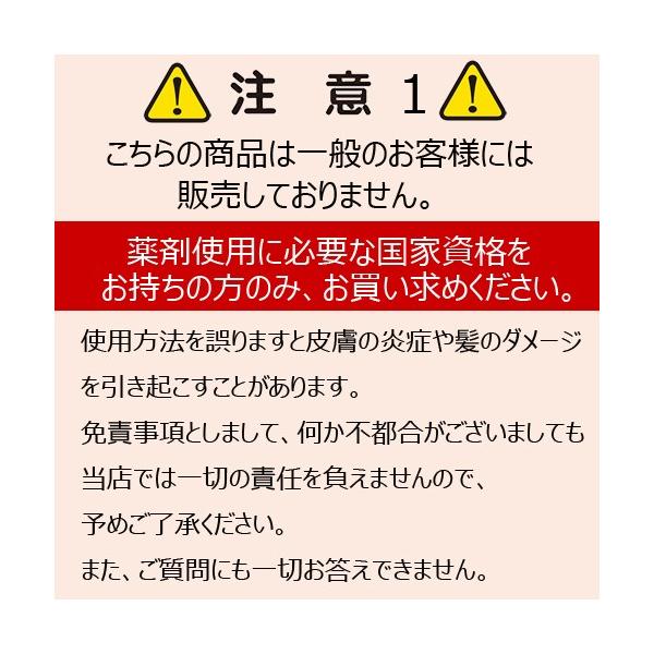 業務用 カラー剤 ホーユー カレンシアカラー 1剤 80g 全3色 白髪ぼかし 医薬部外品 Buyee Buyee Japanese Proxy Service Buy From Japan Bot Online