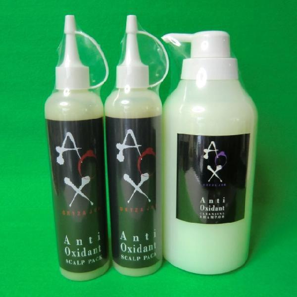 リアル オリザジュンAOXシャンプー800ml・スキャルプパック245ml x2本