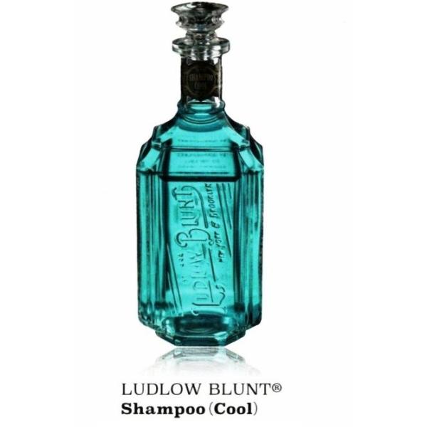 Ludlow Blunt ���h���[�u�����g �V�����v�[(�N�[��) 460mL ��p�v�b�V���|���v�t��