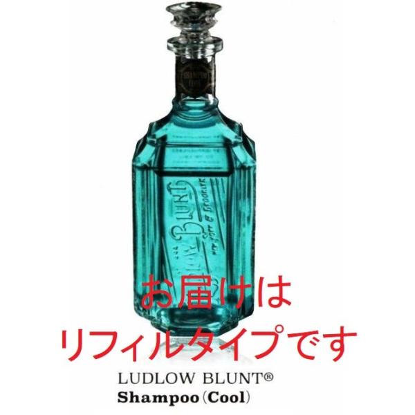 Ludlow Blunt ���h���[�u�����g �V�����v�[(�N�[��) 500mL���t�B��