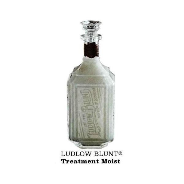 Ludlow Blunt ���h���[�u�����g �g���[�g�����g�E���C�X�g 460mL ��p�v�b�V���|���v�t��