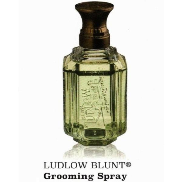 Ludlow Blunt ���h���[�u�����g �O���[�~���O�X�v���[ 280mL ��p�X�v���[�|���v�t��