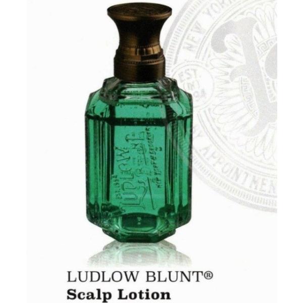 Ludlow Blunt ���h���[�u�����g �X�L�����v���[�V���� 280mL ��p�X�v���[�|���v�t��