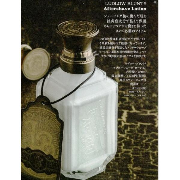 Ludlow Blunt h[ug At^[VF[u[V@280mL