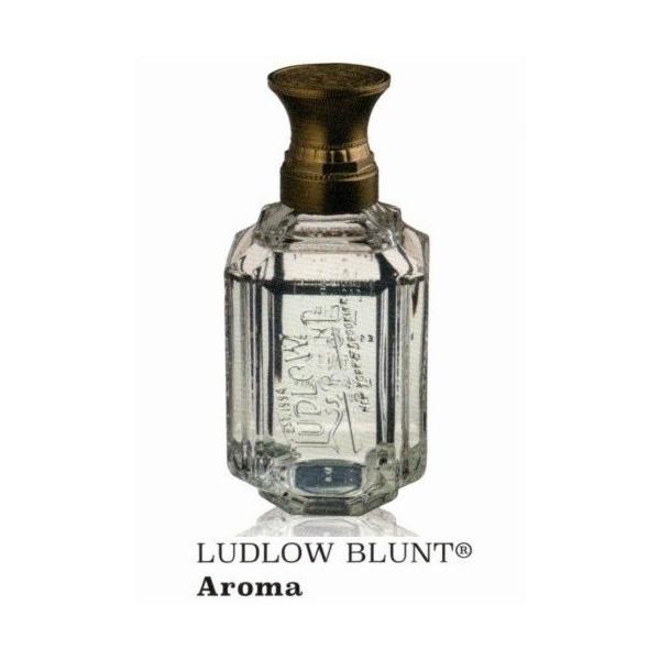 Ludlow Blunt ���h���[�u�����g �A���}�@280mL�@�|���v�t��