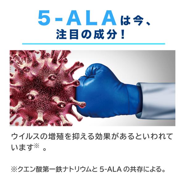 予約商品 【送料無料】日本製 5-ALA サプリメント アラシールド 30粒入 