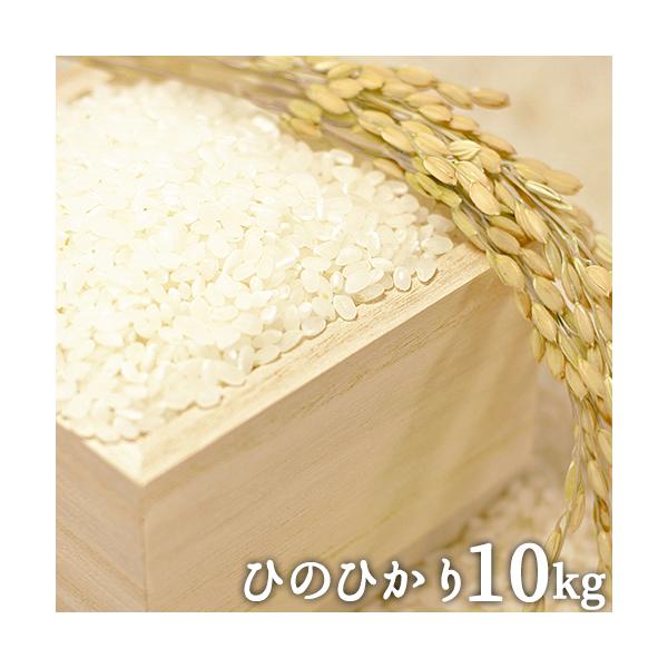 令和5年 山香米 ひのひかり(精米)10kg(5kg×2) 有機質肥料使用 杵築市