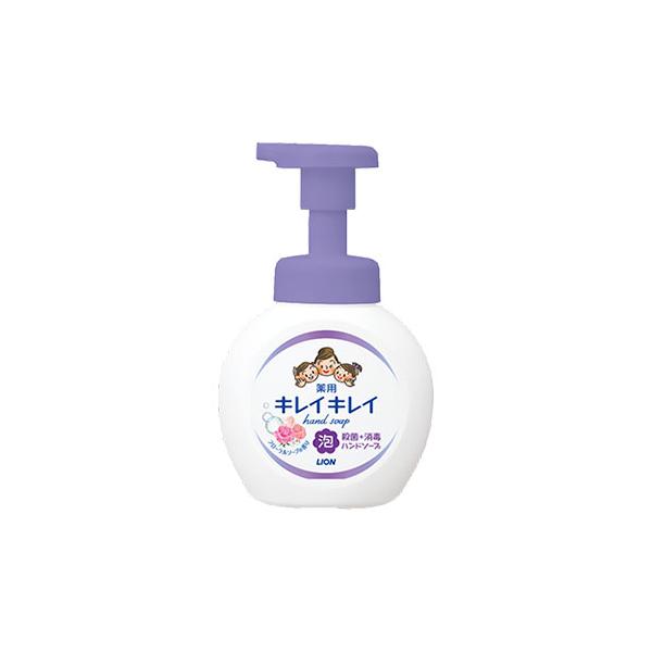 【3,980円以上で送料無料(※北海道は9,800円以上)】バイ菌から手肌を守るキレイキレイ薬用泡ハンドソープ[内容量] 250ml[発売元] ライオン株式会社[区分] 日本製・医薬部外品