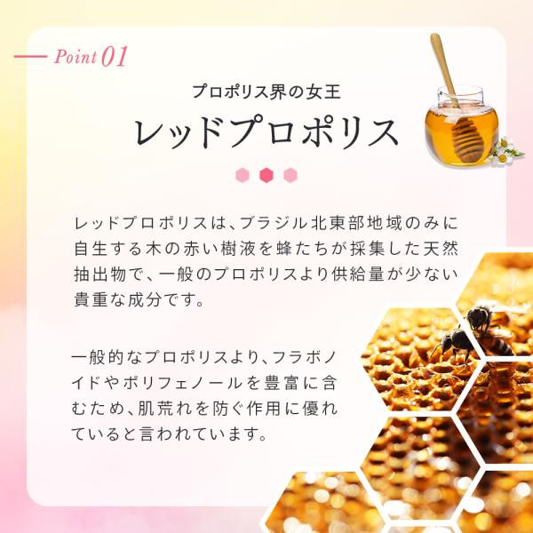 cosmezakka_4573499130672-2p_4_d_20251001103727