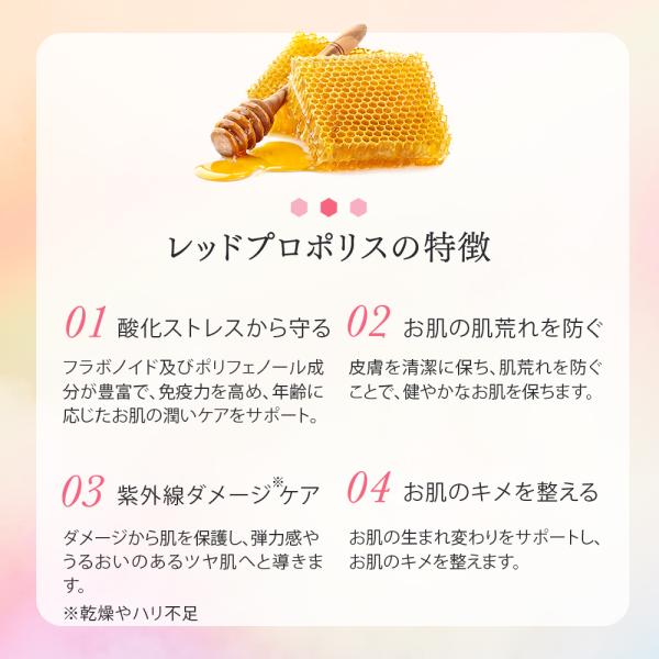 cosmezakka_4573499130672-2p_5_d_20251001103728