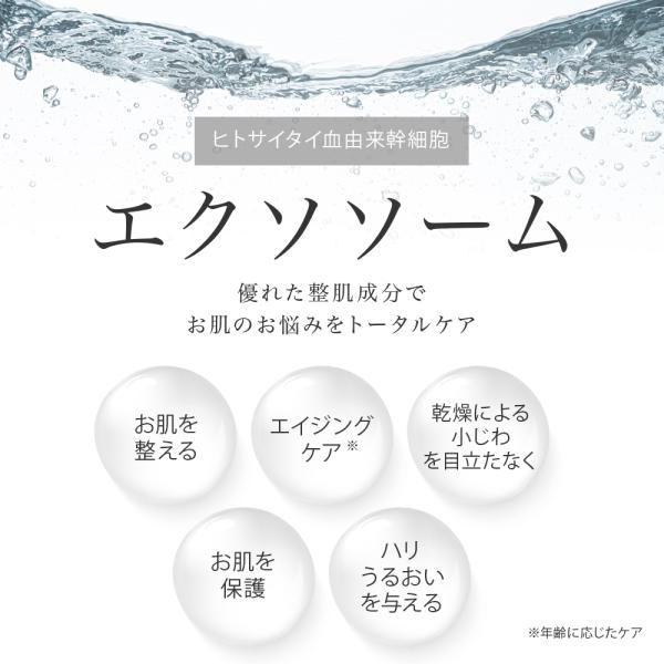 cosmezakka_4573499132126-2p_2_d_20250918125521