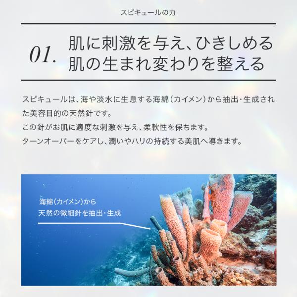 cosmezakka_4573499132270-4p_5_d_20251001104926