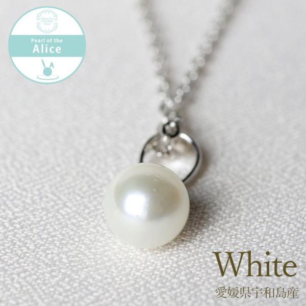 {^ AWX^[t 40cmxl`Ax_g lbNX zCgn 7.0 Eh SV925 {^(FaY)