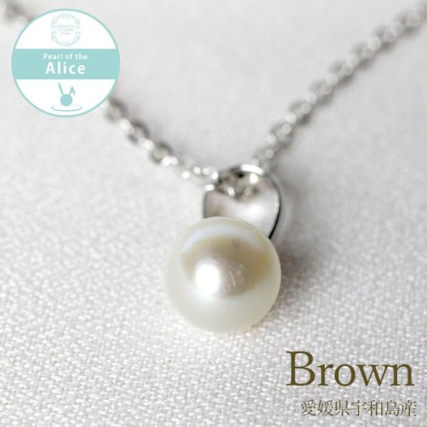 {^ AWX^[t 40cmxl`Ax_g lbNX uEn 7.0 I[o SV925 {^(FaY)