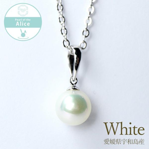 {^ AWX^[t 40cmxl`Ax_g lbNX zCgn 7.5 Eh SV925 {^(FaY)