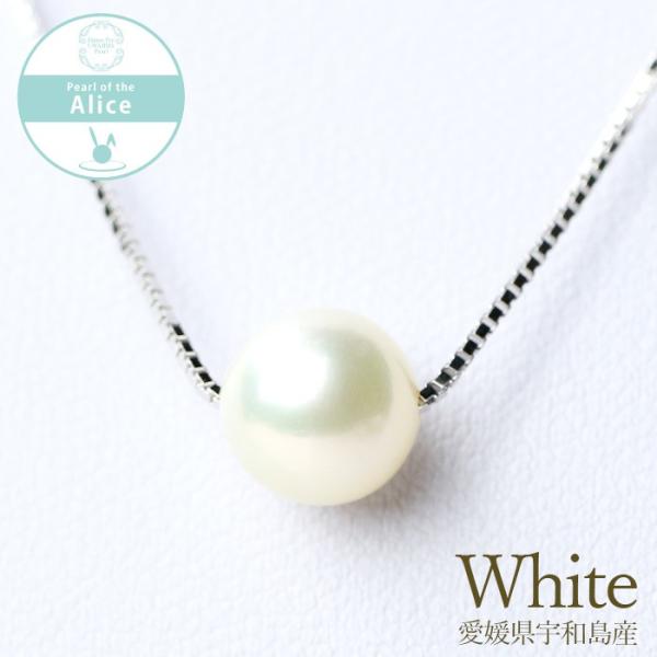 {^ AWX^[tX[lbNX zCgn 8.0mm ߂Ă̐^  Vo[925 lbNX ^  p|  SV925 {^(FaY)