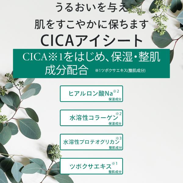 cosmezakka_yahoo-eye3pset_3_d_20260227144436
