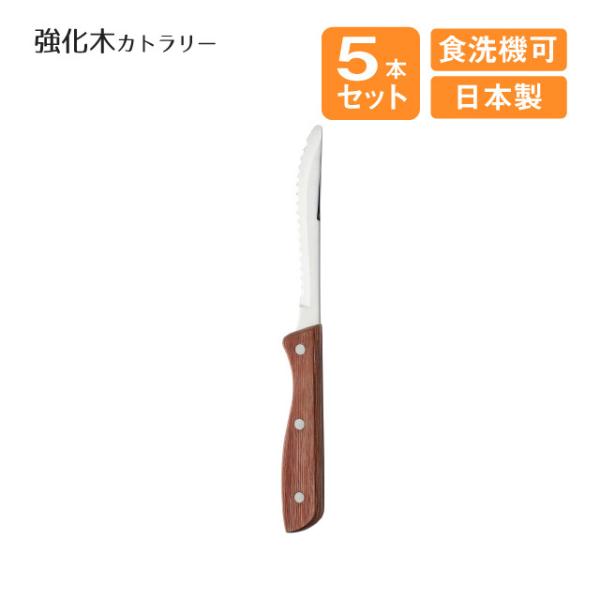 Xe[LiCt ؃Jg[ 5{Zbgi508488j Lb`A䏊pi