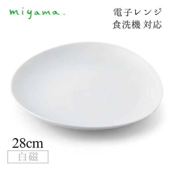 HM 28cm v[g 2Zbg NN cuculi  [R miyamai04-003-101j Lb`A䏊pi