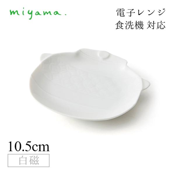 ׍HM  10Zbg KN gaku  [R miyamai34-023-101j Lb`A䏊pi