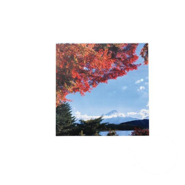 Ζ~ 0.5 p gtƕxmRh a Wabisabii3-043-02) Lb`A䏊pi